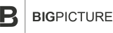 BigPicture Logo